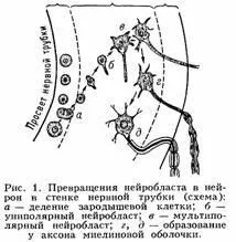 Концепція матеріальності свідомості