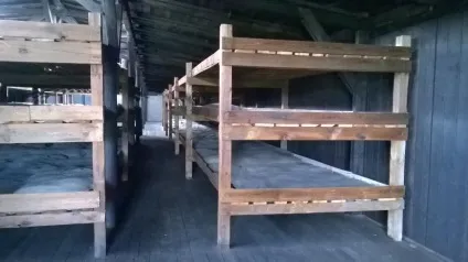 Концтабір Майданек - табір знищення третього рейху - sviv (табір) Концтабір Майданек - табір знищення третього рейху - sviv