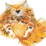 Корм для вибагливих кішок