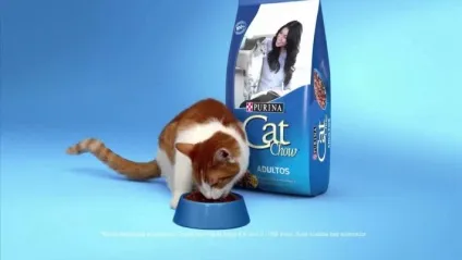 Корм для кішок cat chow