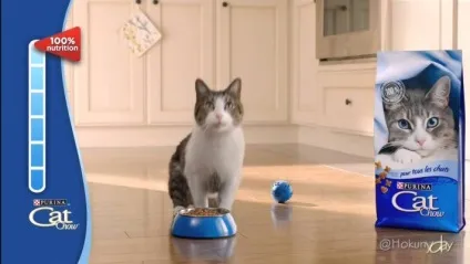 Корм для кішок cat chow