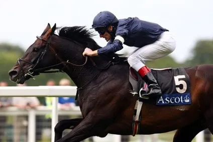Королівські скачки royal ascot - історія і традиції (королівські) Королівські скачки royal ascot - історія і традиції