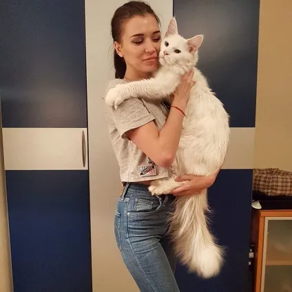 Кот Тихон, який дуже любить обійматися (любить) Кот Тихон, який дуже любить обійматися