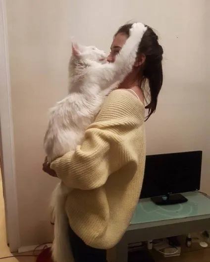 Кот Тихон, який дуже любить обійматися (який) Кот Тихон, який дуже любить обійматися