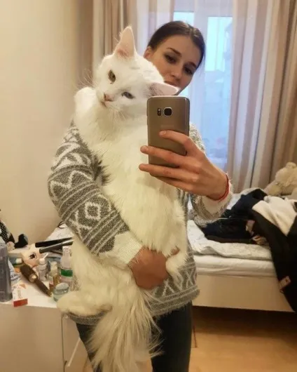 Кот Тихон, який дуже любить обійматися (який) Кот Тихон, який дуже любить обійматися