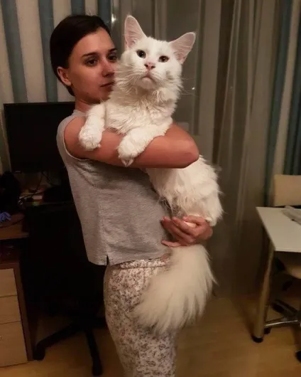 Кот Тихон, який дуже любить обійматися (любить) Кот Тихон, який дуже любить обійматися