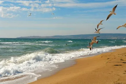 Кримські пляжі, Пантікапей (Алушта) Кримські пляжі, Пантікапей