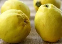 Кулеб'яка рецепт кулеб'яки з капустою, з м'ясом, з рибою, з куркою, з грибами, з картоплею (кулебяка) Кулеб'яка рецепт кулеб'яки з капустою, з м'ясом, з рибою, з куркою, з грибами, з картоплею