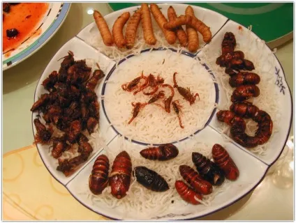 Куди поділися таргани