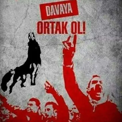 Хто такі - сірі вовки (історія України) Хто такі - сірі вовки