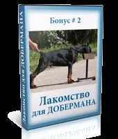 Курс дресирування добермана в домашніх умовах (порода доберман) Курс дресирування добермана в домашніх умовах