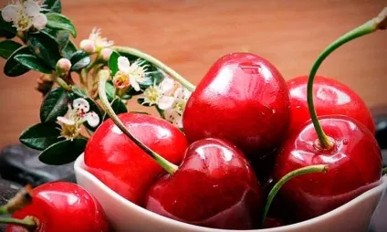 Лікувальні властивості вишні - віденська дача (народні цілителі рекомендують) Лікувальні властивості вишні - віденська дача