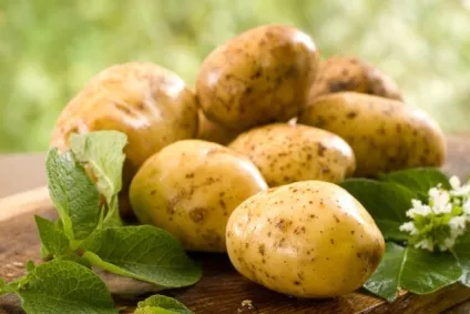Лікування гастриту народними засобами в домашніх умовах (гастриту) Лікування гастриту народними засобами в домашніх умовах