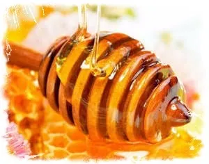 Лікування катаракти і глаукоми народними засобами (катаракти) Лікування катаракти і глаукоми народними засобами