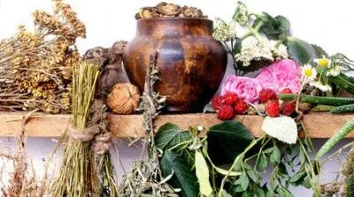 Лікування остеопорозу народними засобами методи, перевірені роками