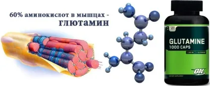 L-глютамін в бодібілдингу як приймати, дія, відгуки (l-глютамін) L-глютамін в бодібілдингу як приймати, дія, відгуки