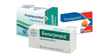 Лікування опісторхозу у дорослих препарати і народні засоби (лікування) Лікування опісторхозу у дорослих препарати і народні засоби
