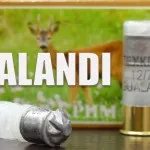 Найкраще гладкоствольну зброю для самооборони