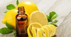 Лопух при варикозі рецепти для домашнього лікування (лопух) Лопух при варикозі рецепти для домашнього лікування