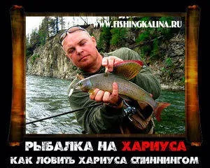 Ловля харіуса на спінінг - поради прямо з риболовлі (харіуса) Ловля харіуса на спінінг - поради прямо з риболовлі