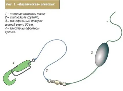 Ловля кар'єрних щуки