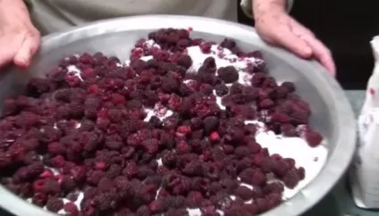 Малинове варення 3 найкорисніших і смачні рецепти (малинове) Малинове варення 3 найкорисніших і смачні рецепти