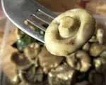 Мариновані гливи швидкого приготування кулінаріада (мариновані) Мариновані гливи швидкого приготування кулінаріада