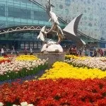 Марокканські кози пасуться на деревах, в дорогу!