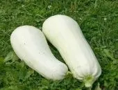 Мариновані помідори з морквою рецепт (мариновані помідори морквою) Мариновані помідори з морквою рецепт