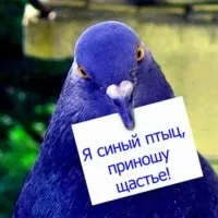 Маски для волосся під час вагітності