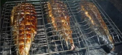 Маринад для скумбрії - рецепти в домашніх умовах для копчення, засолювання і запікання в духовці і на (домашніх) Маринад для скумбрії - рецепти в домашніх умовах для копчення, засолювання і запікання в духовці і на