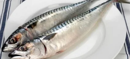Маринад для скумбрії - рецепти в домашніх умовах для копчення, засолювання і запікання в духовці і на (маринад) Маринад для скумбрії - рецепти в домашніх умовах для копчення, засолювання і запікання в духовці і на