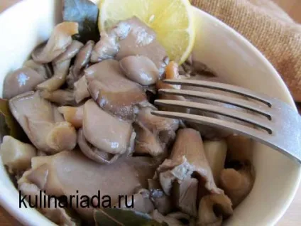 Мариновані гливи швидкого приготування кулінаріада (швидко) Мариновані гливи швидкого приготування кулінаріада