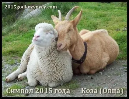 Маски на новий 2015 рік для дітей - коза і овечка (блог) Маски на новий 2015 рік для дітей - коза і овечка
