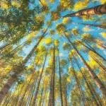 Трапляється таке, коли ти зустрічаєш своїх людей (людей) Трапляється таке, коли ти зустрічаєш своїх людей