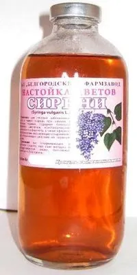 Бузок звичайний - застосування в народній медицині (медицині) Бузок звичайний - застосування в народній медицині