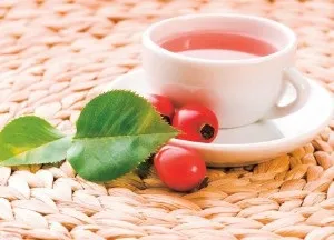 Сироватка молочна застосування, користь і шкода, дози прийому (шкода) Сироватка молочна застосування, користь і шкода, дози прийому