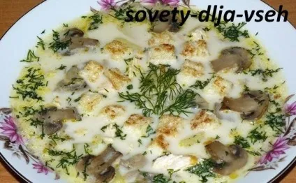Сирний суп з грибами, поради для всіх (грибами) Сирний суп з грибами, поради для всіх