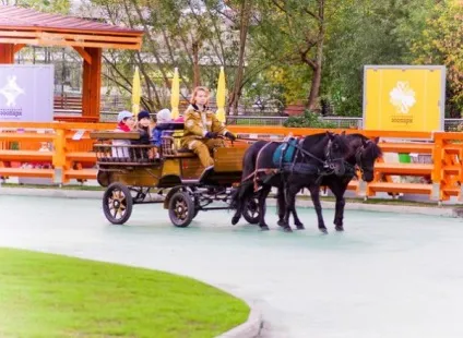 Скільки коштує квиток в московський зоопарк правила зоопарку, вартість вхідних квитків, як (московський) Скільки коштує квиток в московський зоопарк правила зоопарку, вартість вхідних квитків, як