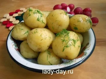 Скільки варити молоду картоплю, прості рецепти з фото (молода картопля) Скільки варити молоду картоплю, прості рецепти з фото