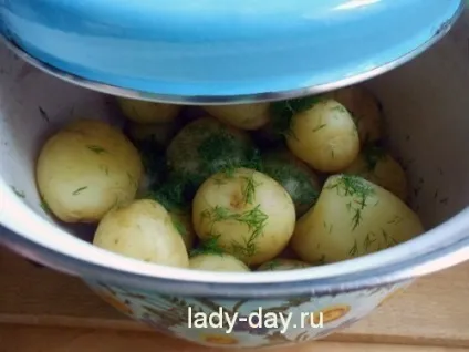 Скільки варити молоду картоплю, прості рецепти з фото (картоплю) Скільки варити молоду картоплю, прості рецепти з фото
