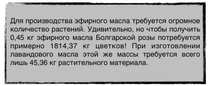 Масло для тіла своїми руками (краплі ефірного масла) Масло для тіла своїми руками