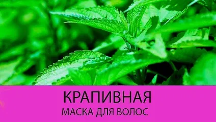 Масло кропиви для волосся відгуки