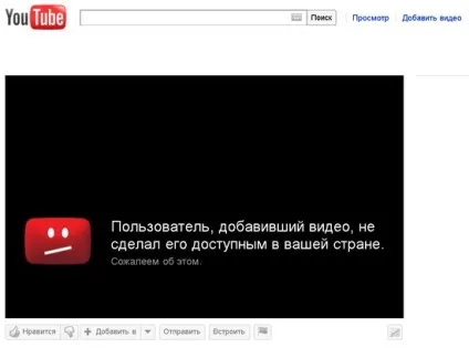 Майстер-клас з дресирування youtube (youtube) Майстер-клас з дресирування youtube