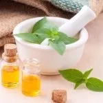 Мед користь і шкода для організму людини (користь) Мед користь і шкода для організму людини