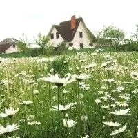 Мінімальна відстань від будинку до межі сусідньої ділянки (межі) Мінімальна відстань від будинку до межі сусідньої ділянки
