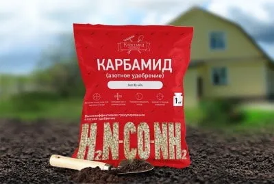 Мінеральна підгодівля помідор