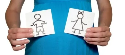 Методи планування статі дитини овуляція (овуляція) Методи планування статі дитини овуляція