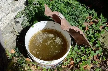 Мінеральна підгодівля помідор
