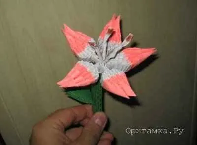 Модульне орігамі лілія майстер клас 1 (модульне орігамі лілія схема збірки) Модульне орігамі лілія майстер клас 1